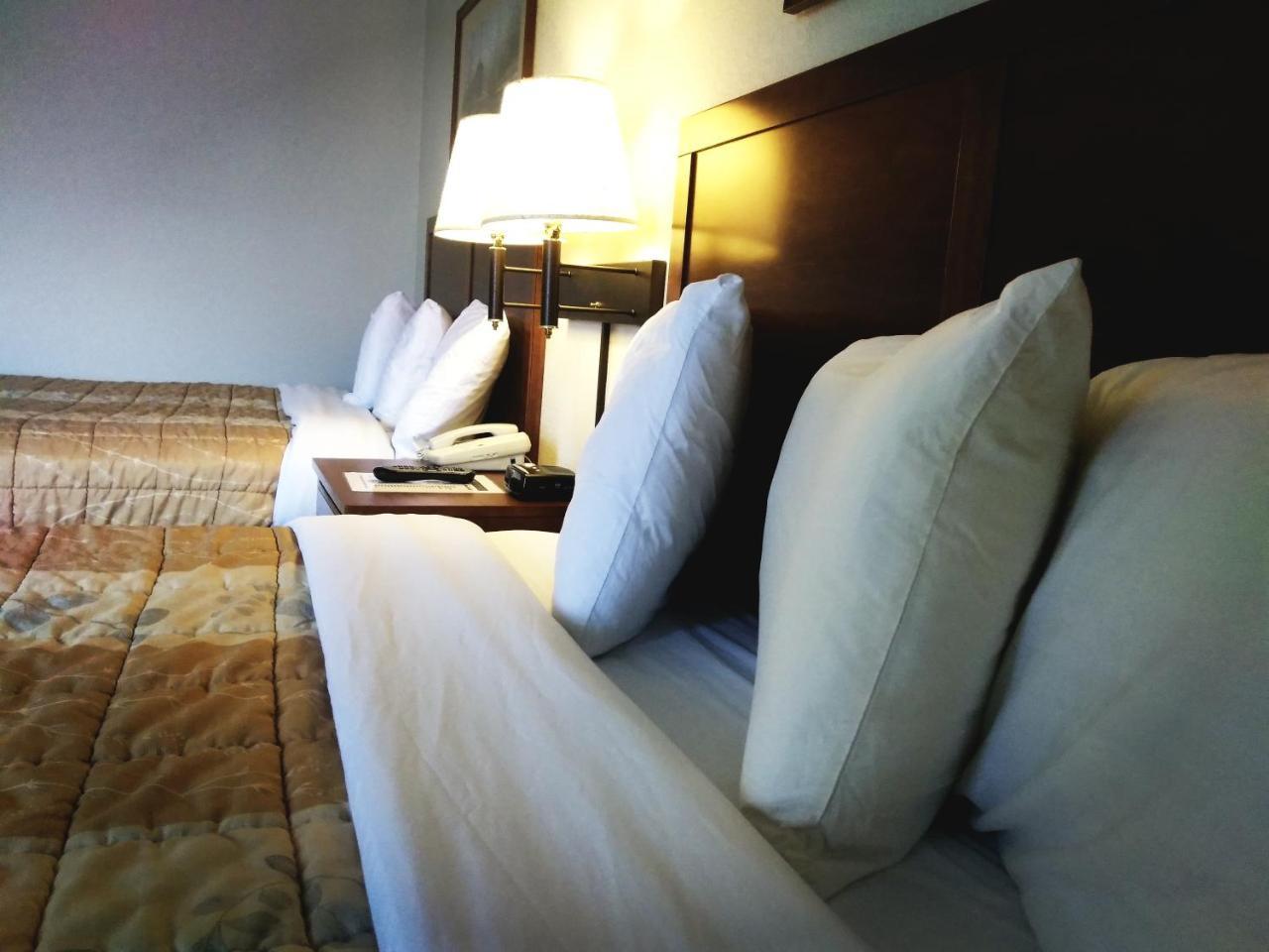 Madelia Hotel & Suites المظهر الخارجي الصورة